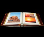Self Adhesive Photo Album - Burgundy with Tan Spine / Tan Corners - Overall Page Size: 315 x 325mm, 12 1/4" x 12 3/4"