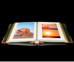 Self Adhesive Photo Album - Green with Tan Spine / Tan Corners - Overall Page Size: 315 x 325mm, 12 1/4" x 12 3/4"